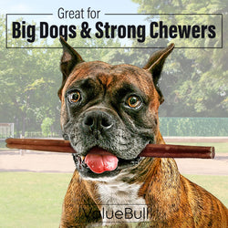 ValueBull Odor Free Bully Sticks for Large Dogs, Thick 12 Inch, 25 Count