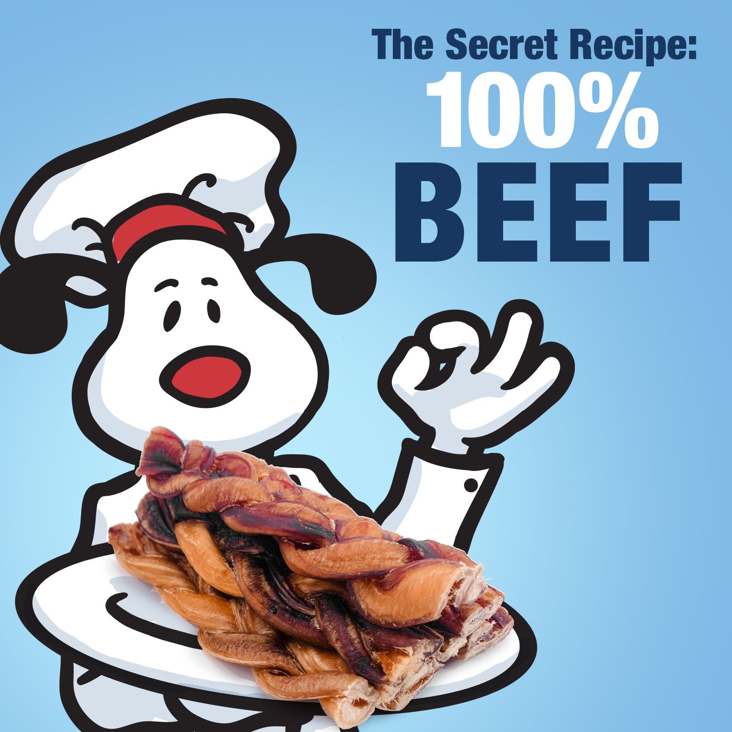 ValueBull Braided Bully Sticks for Large Dogs, Thick 12 Inch, 10 Count - Thick - 10 Braids