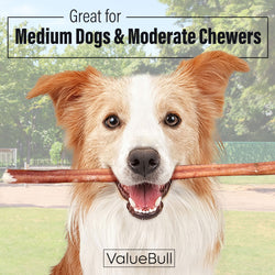 ValueBull Odor Free Bully Sticks for Dogs, Medium 12 Inch, 50 Count