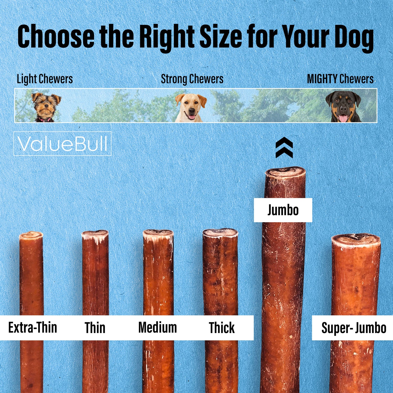 ValueBull Bully Sticks for Large Dogs, Jumbo 12 Inch, 50 Count - Jumbo - 50 Sticks