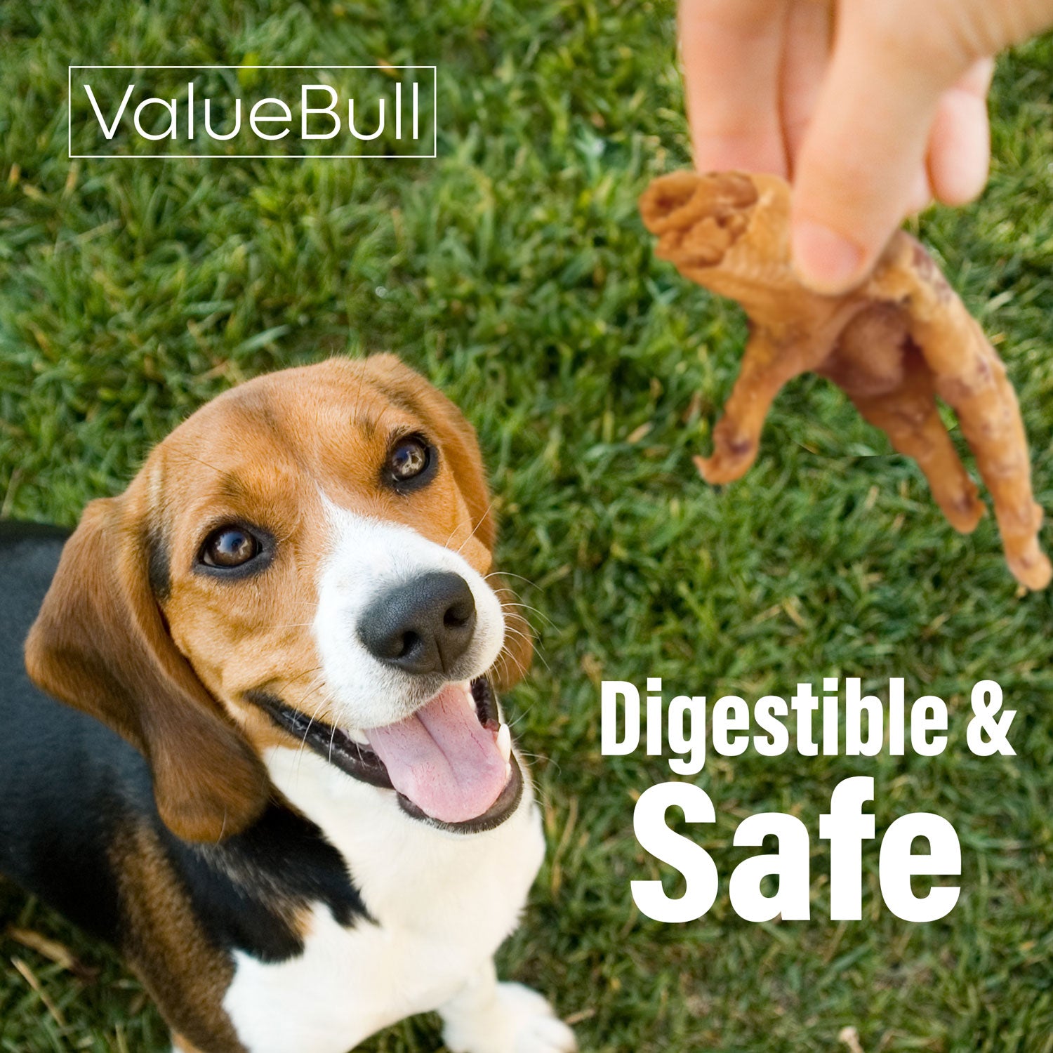 ValueBull Chicken Feet for Dogs, 50 Count - Chicken Feet - 50 Feet