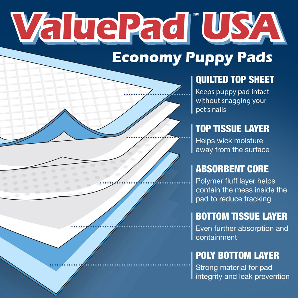 ValuePad USA Puppy Pads, Medium 22x23 Inch, 200 Count