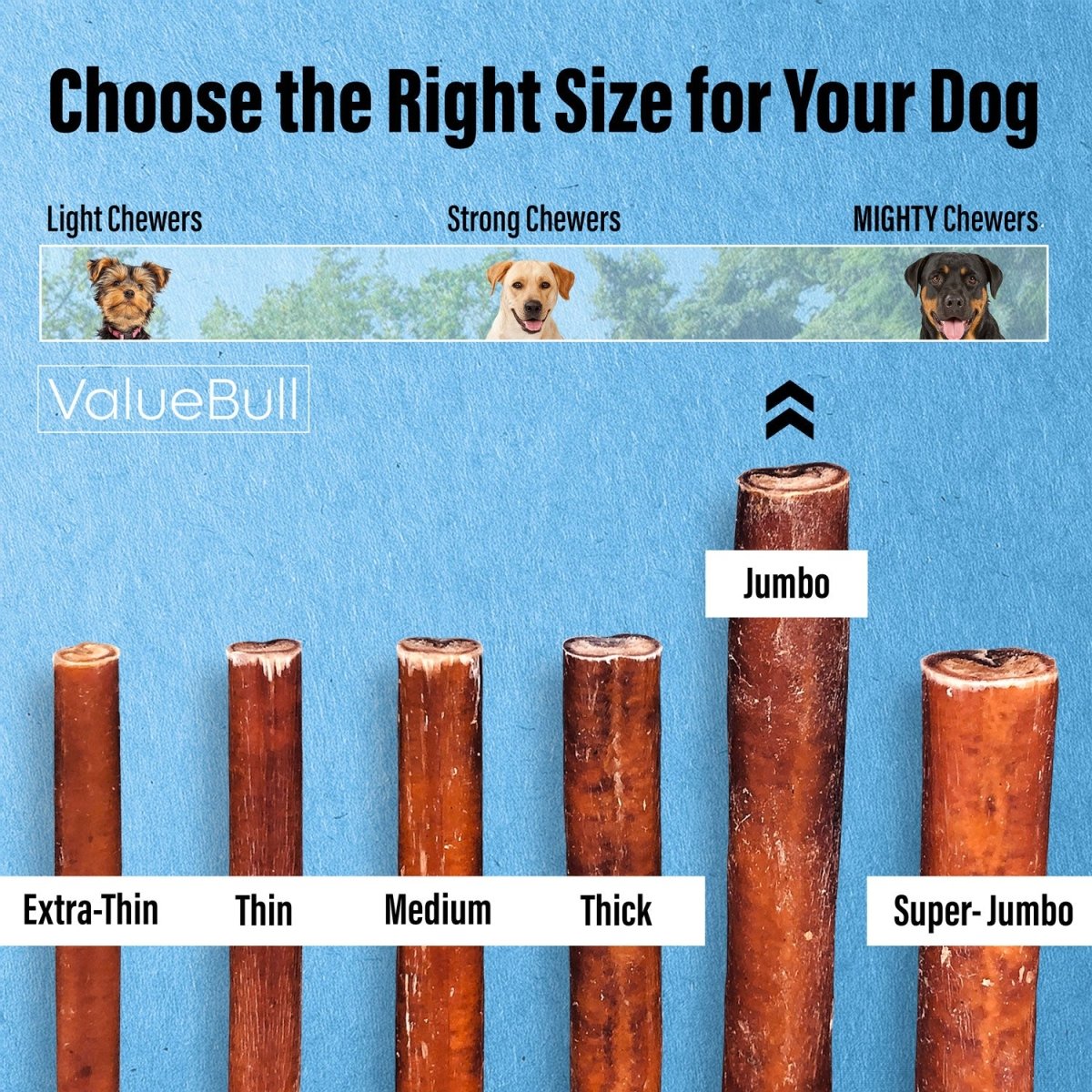 ValueBull Bully Sticks for Large Dogs, Jumbo 6 Inch, 50 Count - ValuePetSupplies