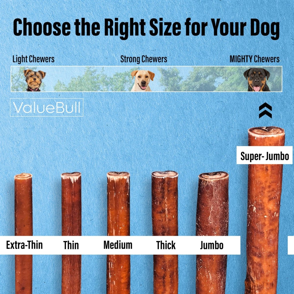 ValueBull Bully Sticks for Large Dogs, Super Jumbo 6 Inch, 100 Count Bulk Pack - ValuePetSupplies