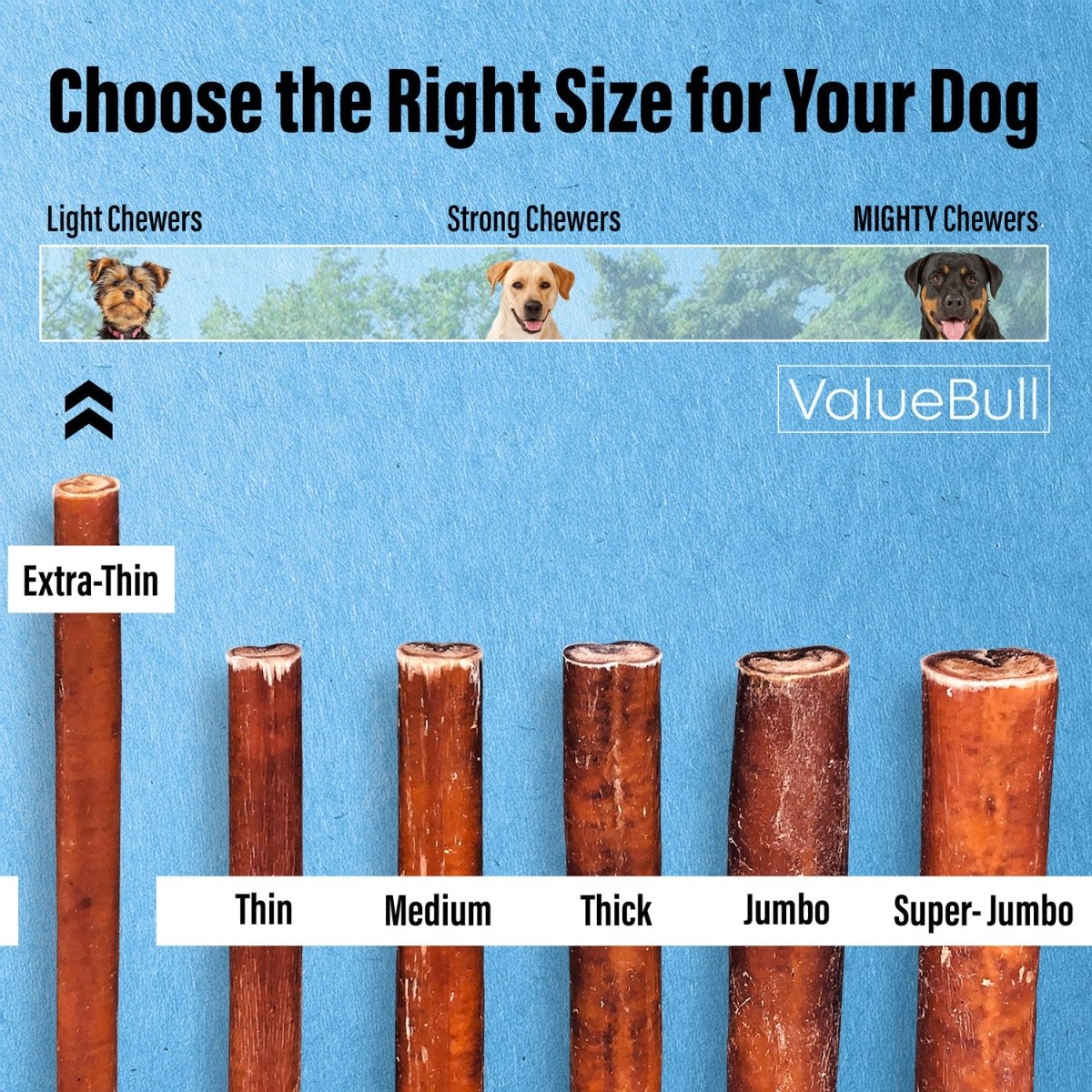 ValueBull Bully Sticks for Small Dogs, Extra Thin 6 Inch, 100 Count BULK PACK - ValuePetSupplies
