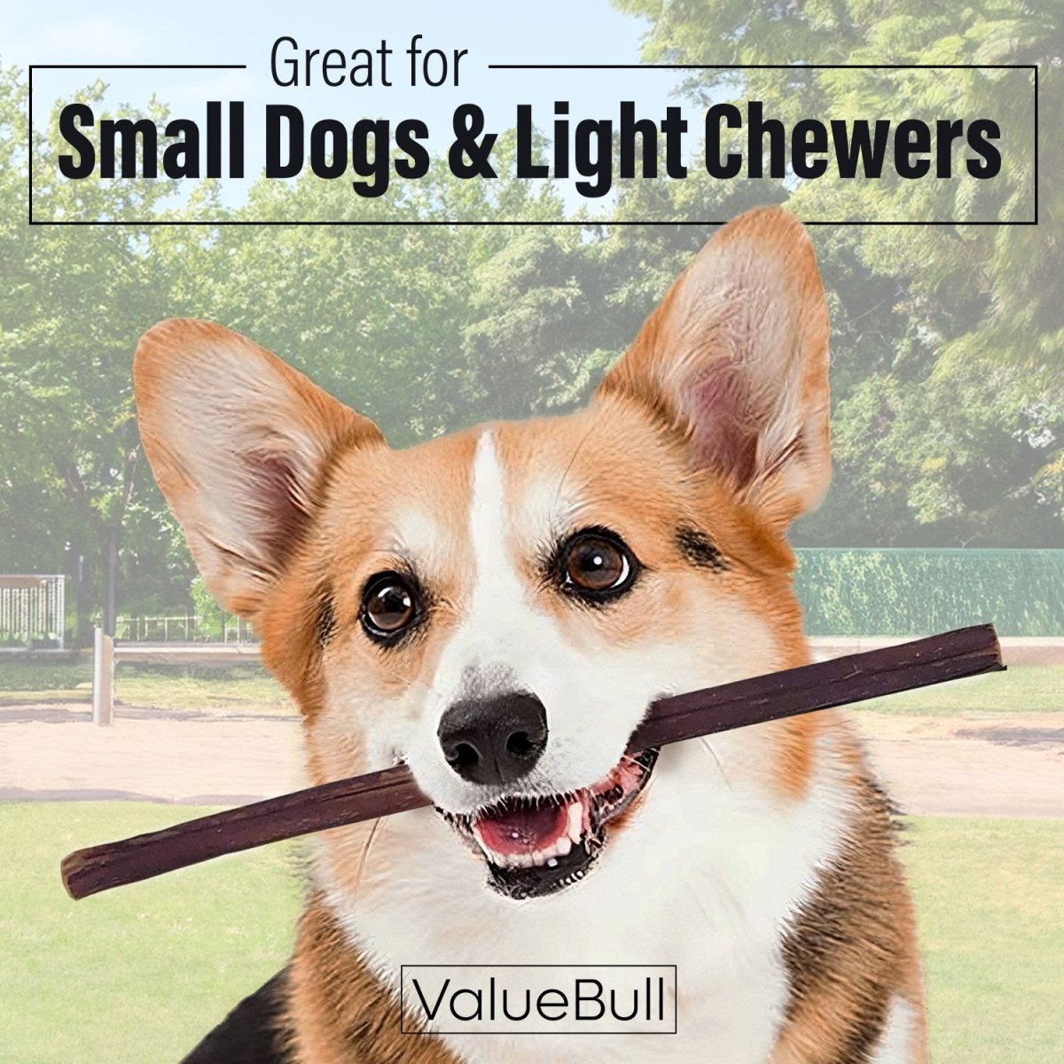 ValueBull Bully Sticks for Small Dogs, Thin 12 Inch, 25 Count - ValuePetSupplies
