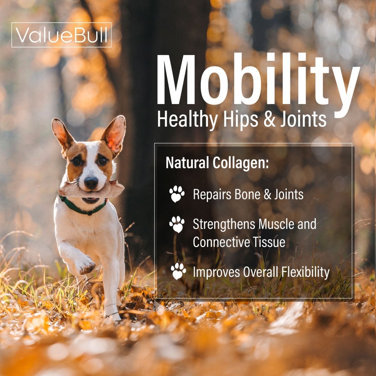ValueBull USA Collagen Chips, Dog Chews, Natural Beef, 100 Count - ValuePetSupplies