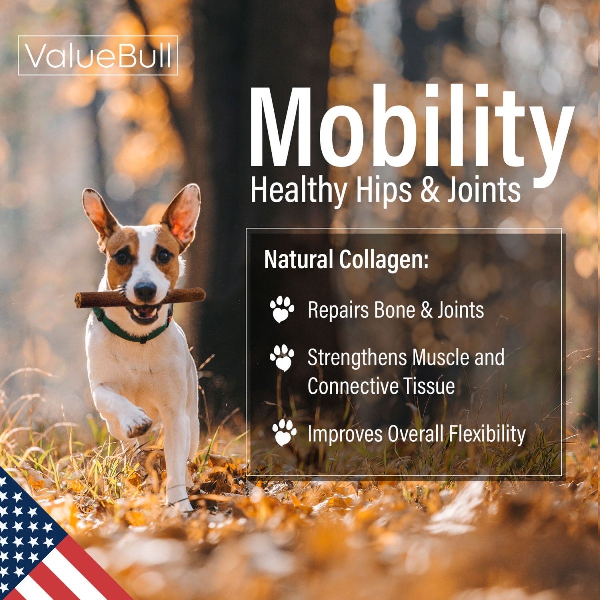 ValueBull USA Collagen Sticks for Dogs, 6 Inch Jumbo Chews, Natural Long - Lasting Dog Treats, 100 Count Bulk Pack - ValuePetSupplies