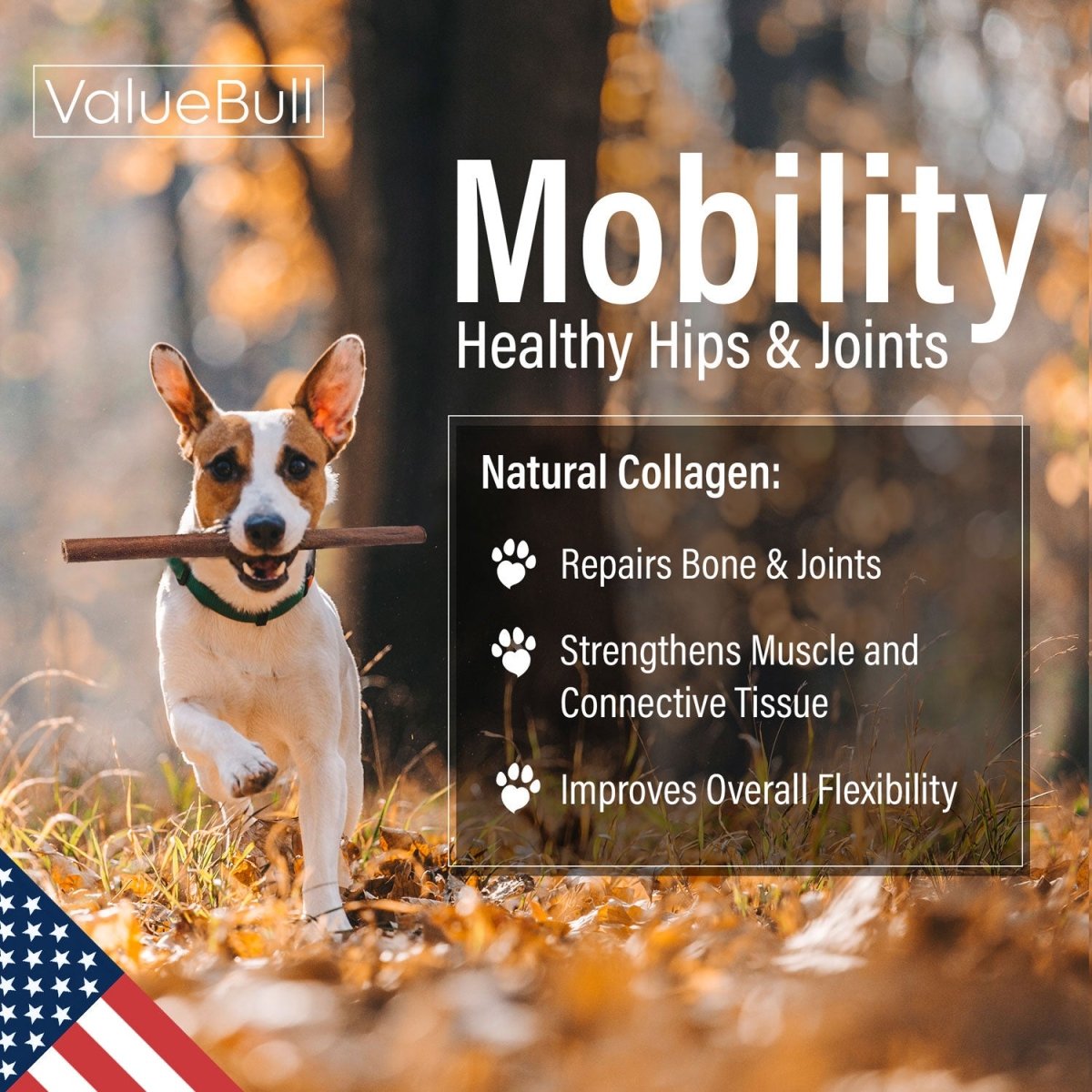 ValueBull USA Collagen Sticks for Dogs, 12 Inch Thick Chews, Natural Long - Lasting Dog Treats, 10 Count - ValuePetSupplies