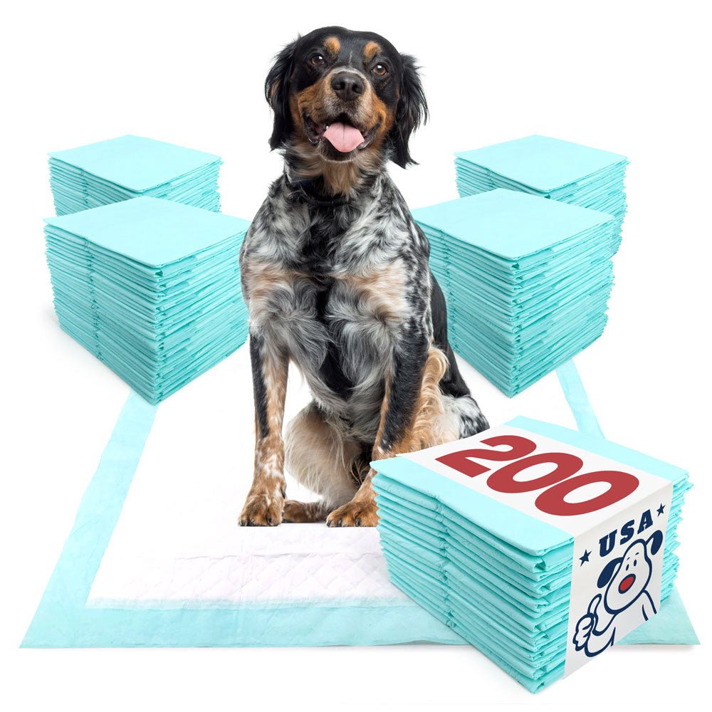 ValuePad USA Plus Puppy Pads, Large 28x30 Inch, 200 Count Bulk Pack - ValuePetSupplies