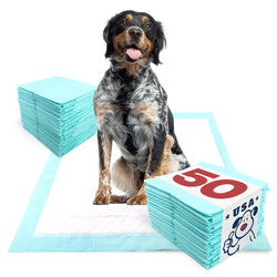 ValuePad USA Plus Puppy Pads, Large 28x30 Inch, 50 Count - ValuePetSupplies