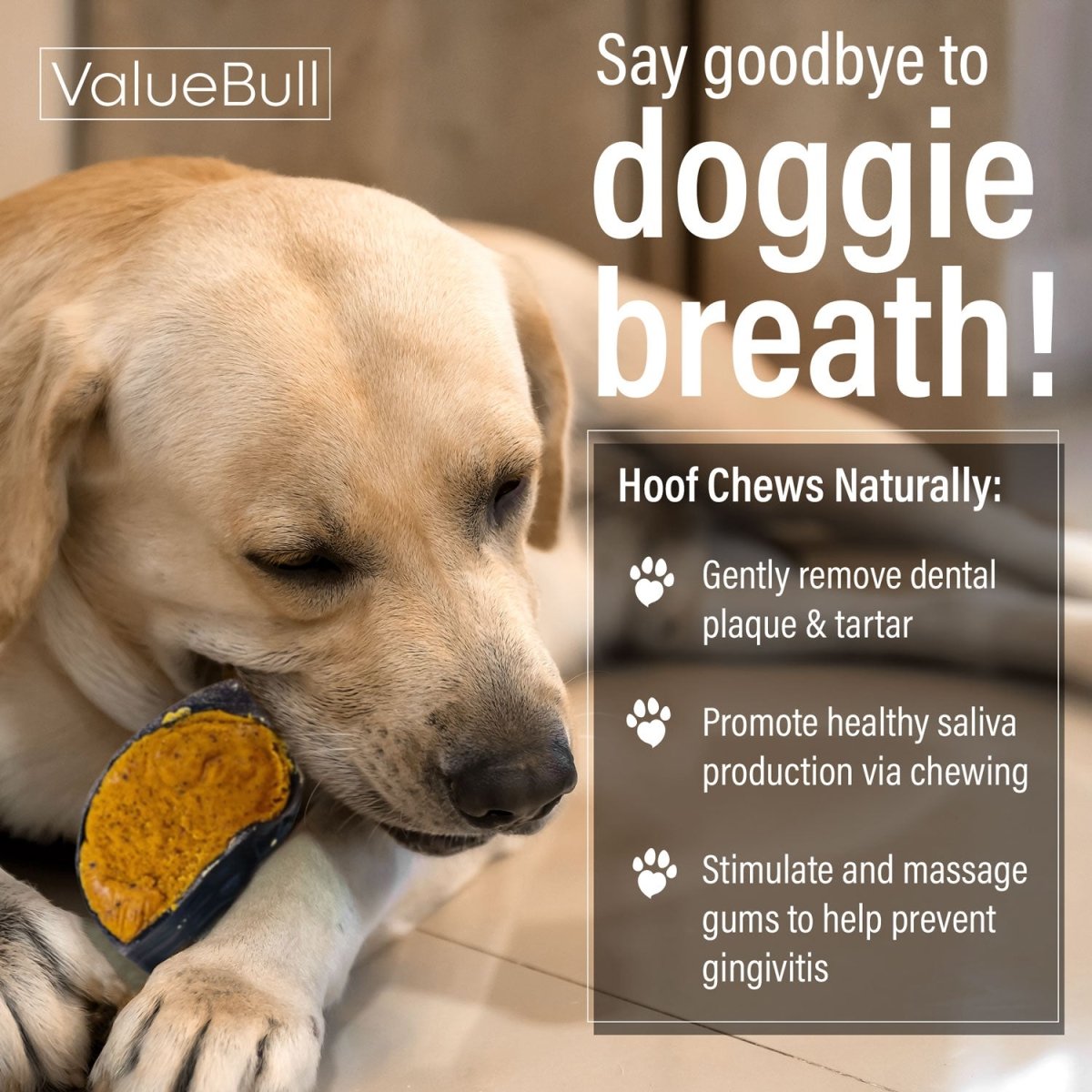 ValueBull Cheese Stuffed Beef Hooves Dog Chews, 25 Count - ValuePetSupplies