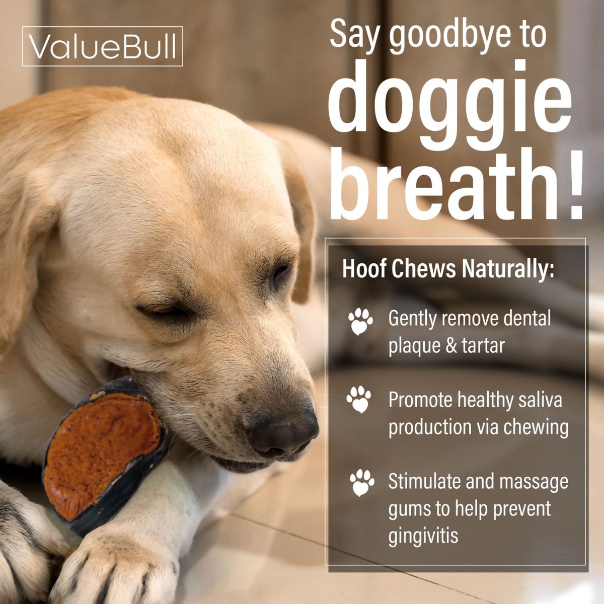 ValueBull Stuffed Beef Hooves Dog Chews, Peanut Butter, 50 Count Bulk Pack - ValuePetSupplies