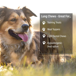 ValueBull Beef Lung Wafers, Premium 2 Pounds - ValuePetSupplies