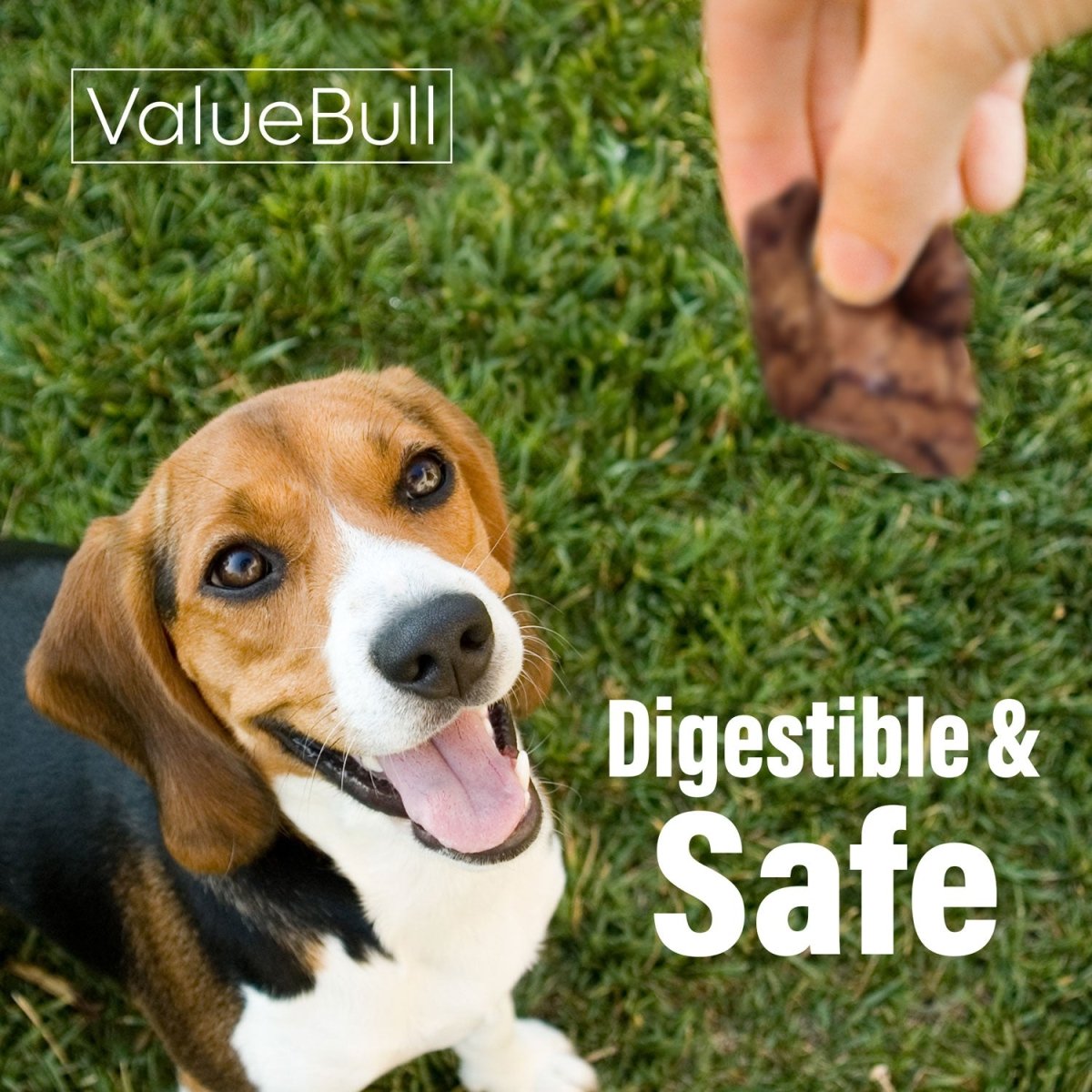ValueBull Beef Lung Wafers, Premium 2 Pounds - Wafers - 2 Pound