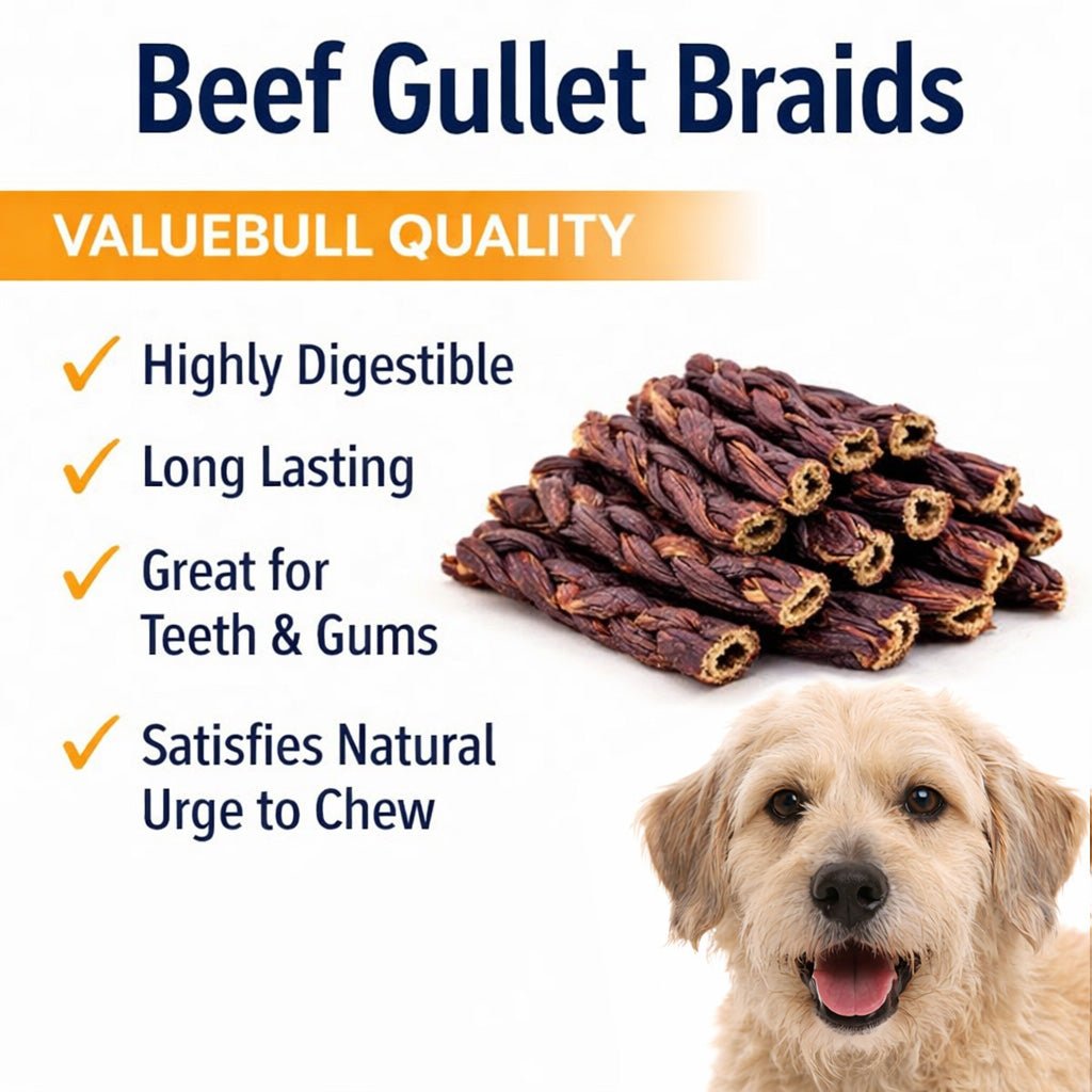 ValueBull Beef Jerky Gullet Braids, Premium Dog Chews, Thick 6 Inch, 200 Count Bulk Pack - ValuePetSupplies