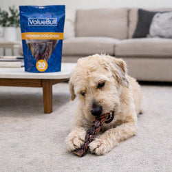 ValueBull Beef Jerky Gullet Braids, Premium Dog Chews, Thick 6 Inch, 50 Count Bulk Pack - ValuePetSupplies