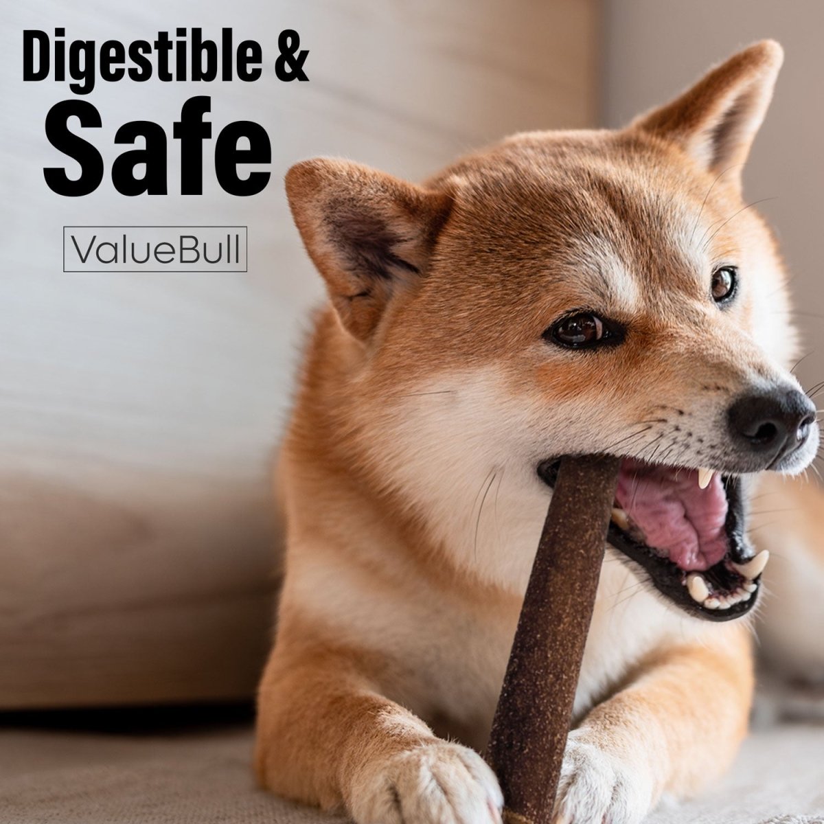 ValueBull Collagen Sticks For Dogs, Bully Sticks & Rawhide Alternative, Jumbo 6 Inch, 100 Count BULK PACK - ValuePetSupplies