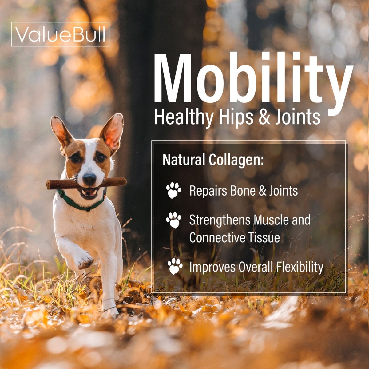 ValueBull Collagen Sticks For Dogs, Bully Sticks & Rawhide Alternative, Jumbo 6 Inch, 100 Count BULK PACK - ValuePetSupplies