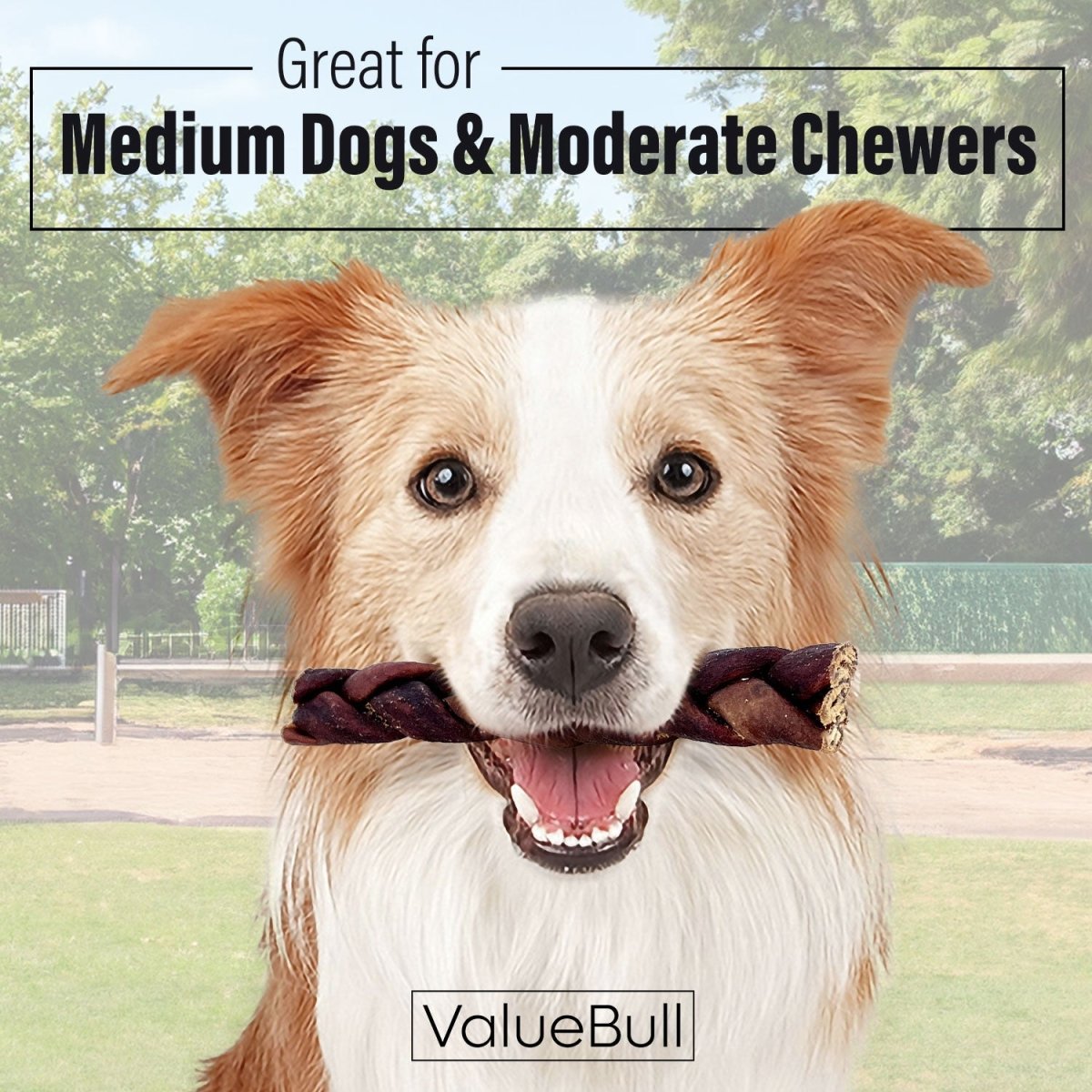 ValueBull Collagen Braided Sticks for Dogs, 6 Inch Medium Chews, Natural Long - Lasting Dog Treats, 10 Count - ValuePetSupplies