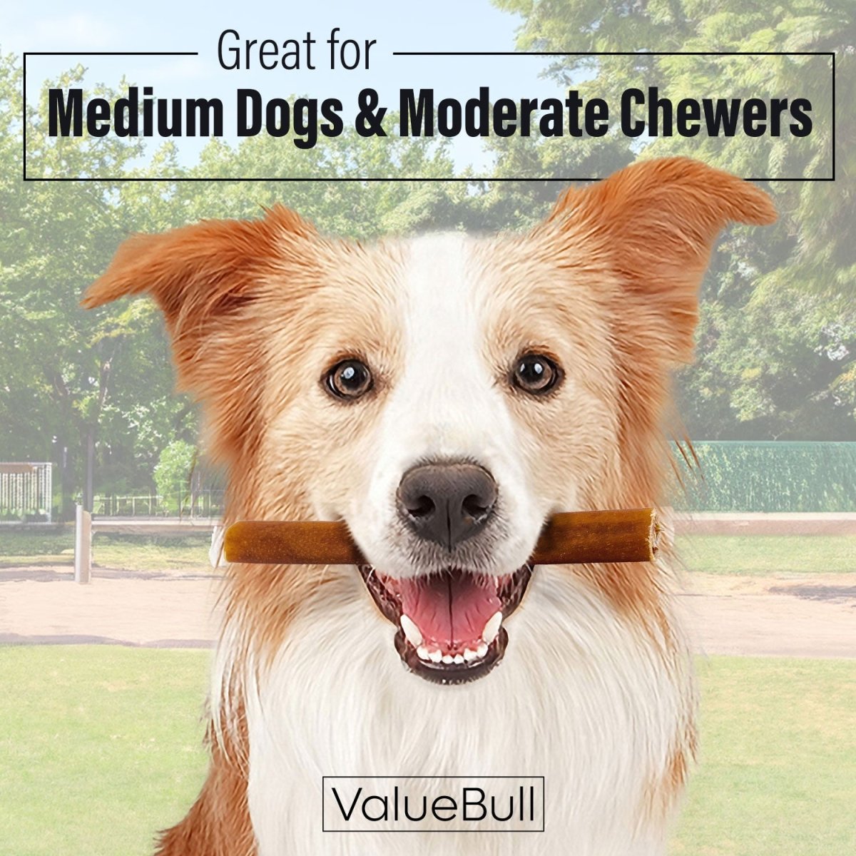ValueBull Buffalo Collagen Sticks for Dogs, 6 Inch Medium Chews, Natural Long - Lasting Dog Treats, 25 Count - ValuePetSupplies