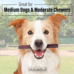 ValueBull Collagen Sticks for Dogs, 6 Inch Medium Chews, Natural Long-Lasting Dog Treats, 50 Count - Medium - 50 Sticks