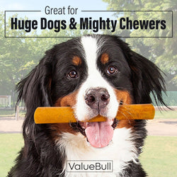 ValueBull Buffalo Collagen Sticks for Dogs, 6 Inch Super Jumbo Chews, Natural Long - Lasting Dog Treats, 100 Count BULK PACK - ValuePetSupplies