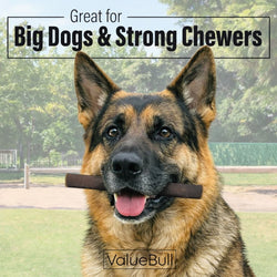 ValueBull Buffalo Collagen Sticks for Dogs, 6 Inch Thick Chews, Natural Long-Lasting Dog Treats, 50 Count - Thick - 50 Sticks