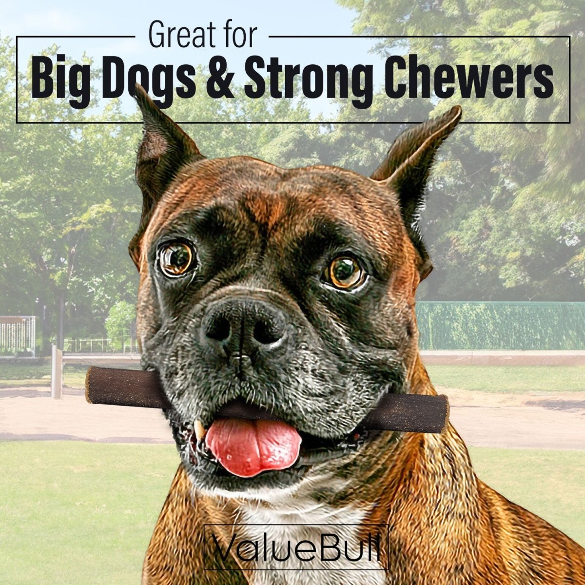 ValueBull Collagen Sticks For Dogs, Bully Sticks & Rawhide Alternative, Thick 6 Inch, 100 Count BULK PACK - ValuePetSupplies