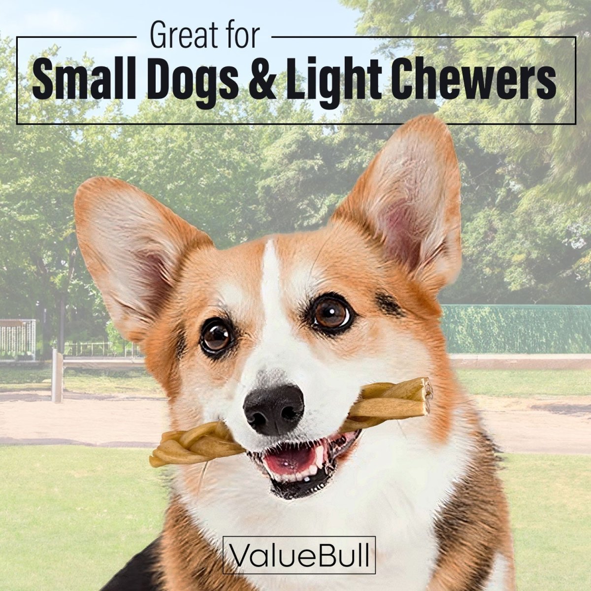 ValueBull Buffalo Collagen Braided Sticks For Small Dogs, Bully Sticks & Rawhide Alternative, Thin 6 in, 25 ct - ValuePetSupplies