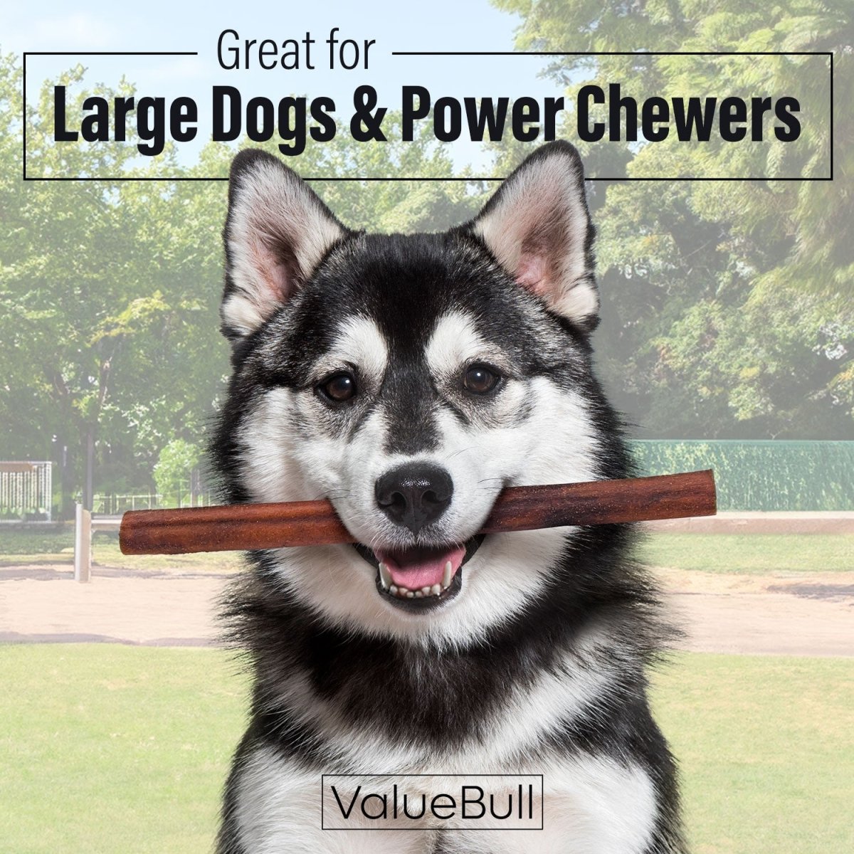 ValueBull Collagen Sticks for Dogs, 12 Inch Jumbo Chews, Natural Long - Lasting Dog Treats, 25 Count - ValuePetSupplies