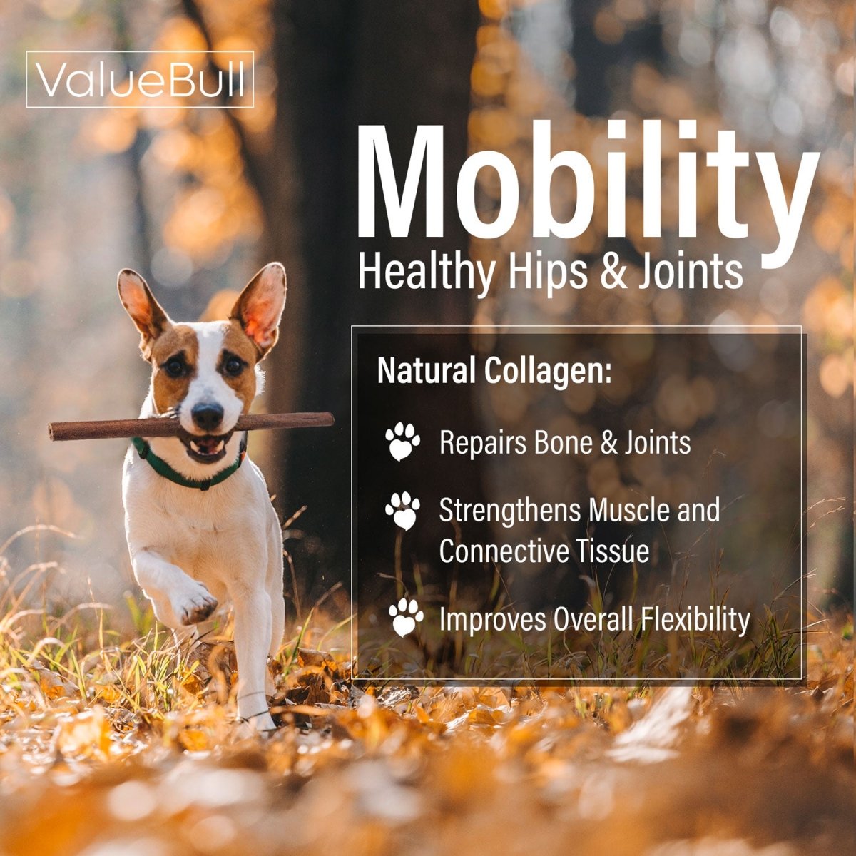 ValueBull Collagen Sticks For Dogs, Bully Sticks & Rawhide Alternative, Medium 12 Inch, 50 Count BULK PACK - ValuePetSupplies