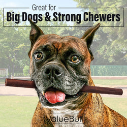 ValueBull Collagen Sticks for Dogs, 12 Inch Thick Chews, Natural Long-Lasting Dog Treats, 100 Count Bulk Pack - Thick - 100 Sticks