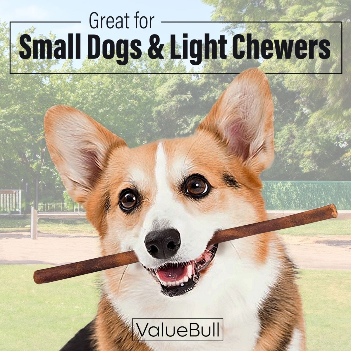 ValueBull Collagen Sticks for Small Dogs, 12 Inch Thin Chews, Natural Dog Treats, 400 Count Wholesale Pack - ValuePetSupplies