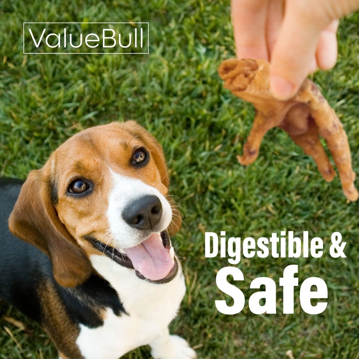 ValueBull Chicken Feet for Dogs, 200 Count Bulk Pack - Chicken Feet - 200 Feet
