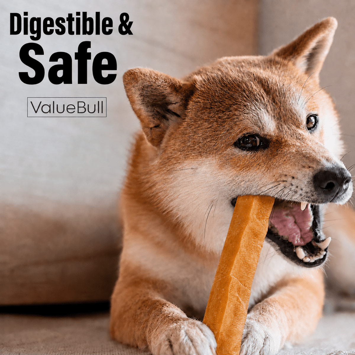 ValueBull Himalayan Yak Cheese Dog Chews, Pumpkin, Large, 100 Count Wholesale Pack - ValuePetSupplies