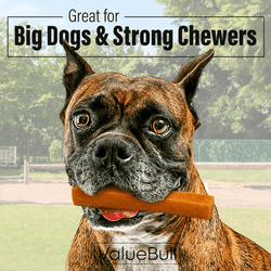 ValueBull Himalayan Yak Cheese Dog Chews, Pumpkin, Large, 50 Count Wholesale Pack - ValuePetSupplies