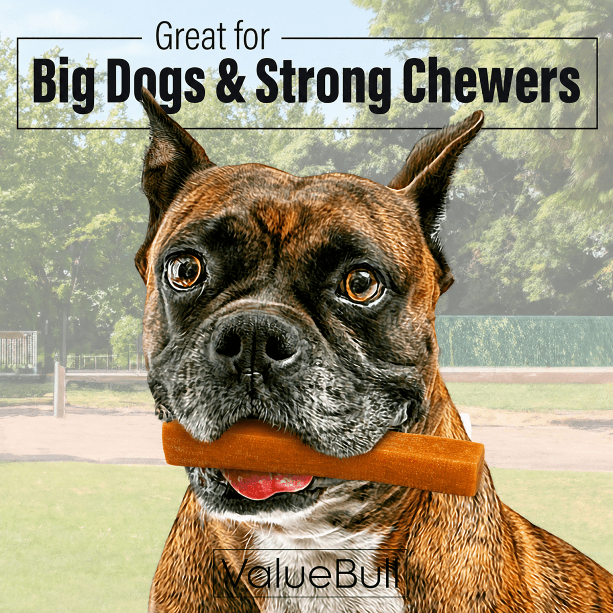 ValueBull Himalayan Yak Cheese Dog Chews, Pumpkin, Large, 50 Count Wholesale Pack - ValuePetSupplies