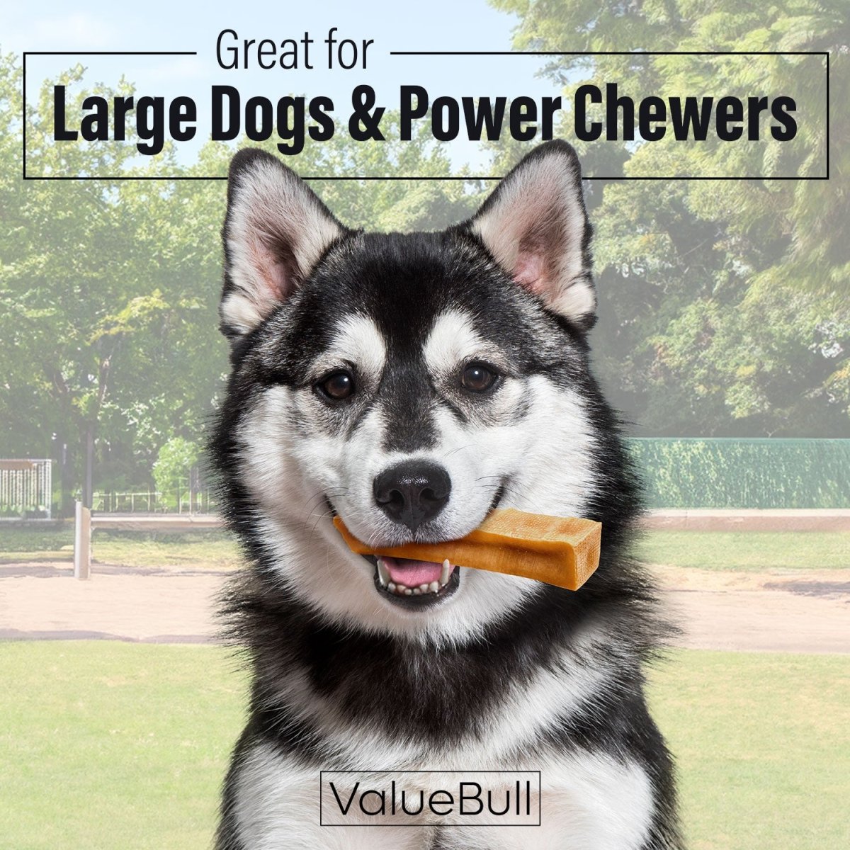 ValueBull Himalayan Yak Cheese Dog Chews, Extra Large, 25 ct Bulk Pack - X-Large - 25 Bars