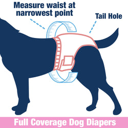 ValueFresh Female Dog Disposable Diapers, X-Small, 60 Count