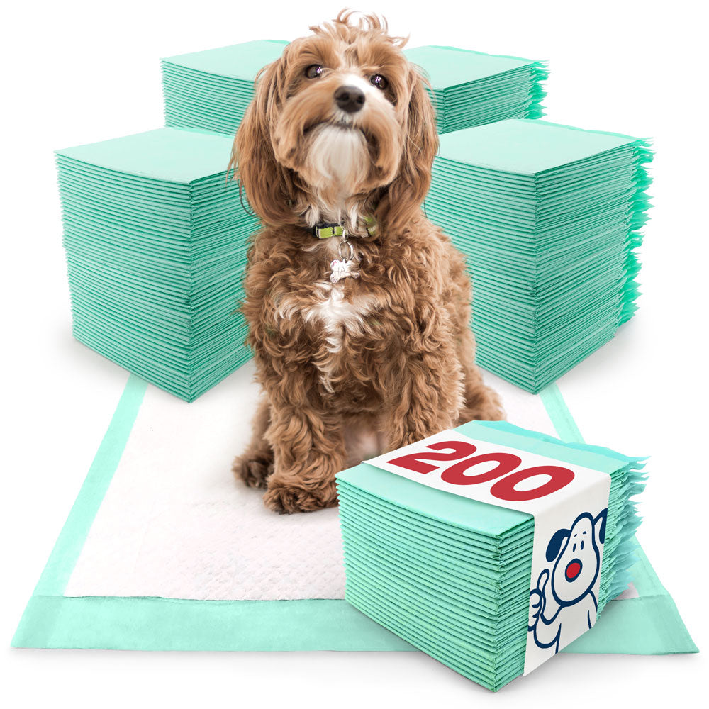 ValuePad Plus Puppy Pads, Medium 23x24 Inch, 200 Count