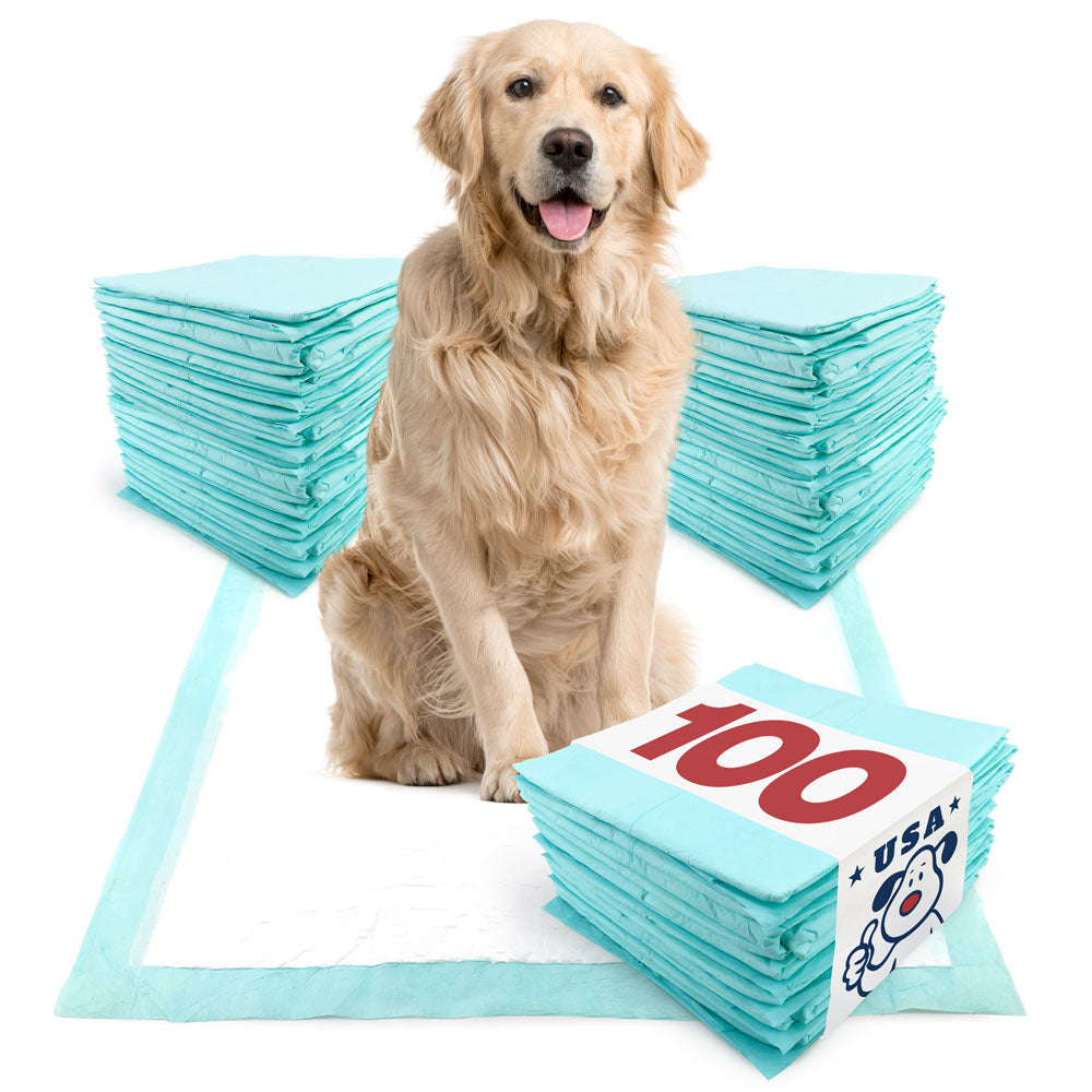 ValuePad USA Plus Puppy Pads, Extra Large 28x36 Inch, 100 Count BULK PACK